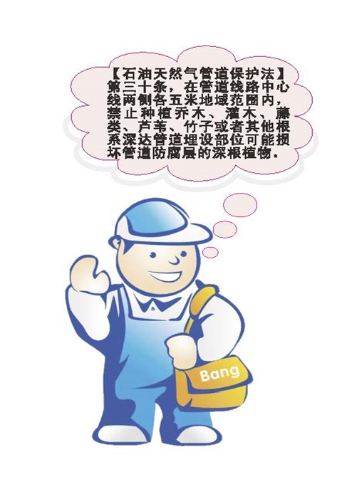 南宫体育-不凡成就非凡,相信品牌的力量